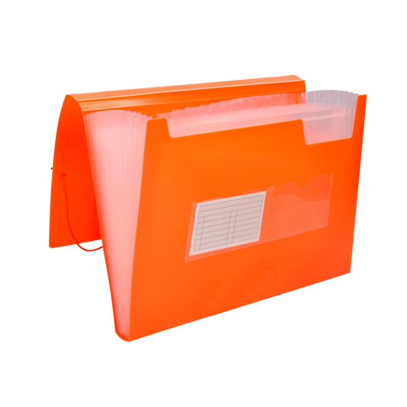 Pasta Classificadora c/Fole 13 Dep. A4 LR FL Pasta Classificadora c/Fole 13 Dep. A4 LR FL